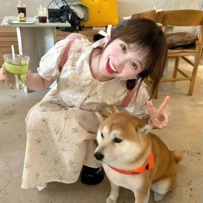 青春浪花