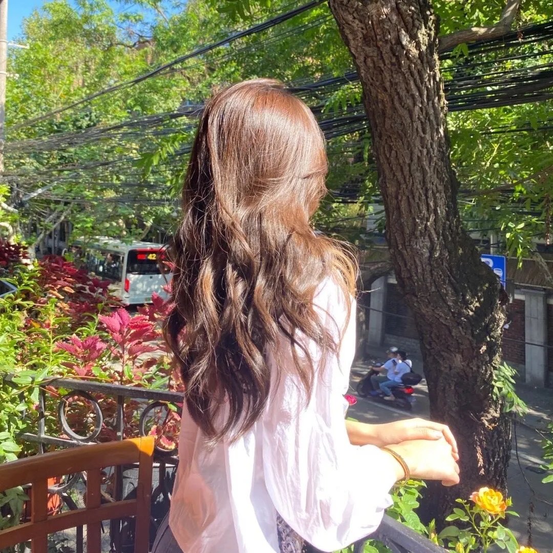 恐龙王